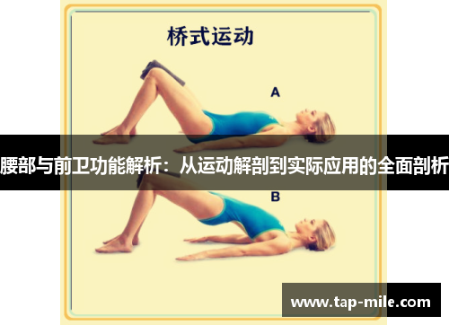 腰部与前卫功能解析：从运动解剖到实际应用的全面剖析