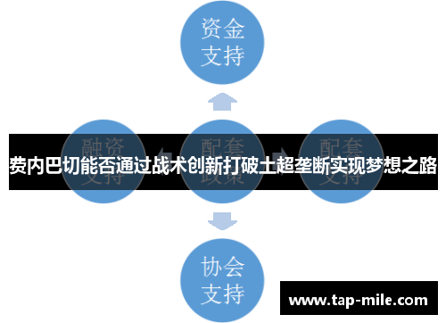 费内巴切能否通过战术创新打破土超垄断实现梦想之路