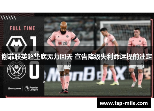 谢菲联英超垫底无力回天 宣告降级失利命运提前注定